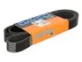 8PK1725HD Дорожковый ремень DAYCO підбір по vin на Brocar