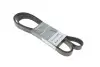 Поликлиновый ремень 8PK2482HD