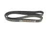 8PK2482HD Поликлиновый ремень DAYCO підбір по vin на Brocar