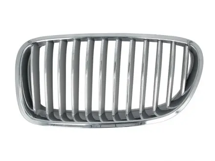 6502070067995P РЕШІТКА РАДІАТОРА 6502-07-0067995P BLIC BLIC підбір по vin на Brocar