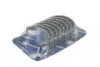 Вкладыши шатунные VW Caddy III 1.2 TSI 10-15 (STD) 37106600