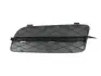 Решітка бампера BMW X5 (E70) (R) 06-13 6502070096996P