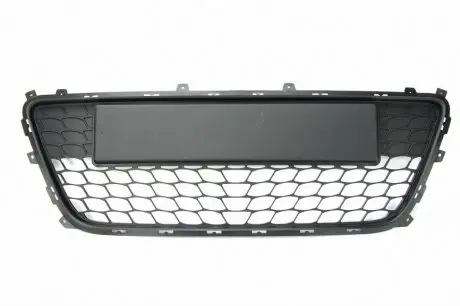 6502073135995P Елемент бамперу BLIC підбір по vin на Brocar
