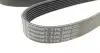 7PK2958 Ремень генератора Land Rover Defender 2.4 Td4 4х4 06-16 CONTITECH підбір по vin на Brocar