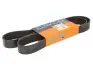 8PK1367HD Дорожечный пас DAYCO підбір по vin на Brocar