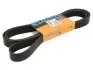 Дорожечный пас 8PK2380HD