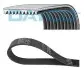 Дорожечный пас 10PK2475HD
