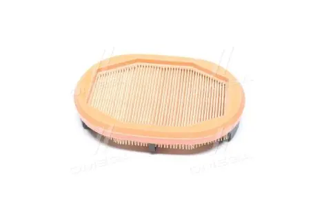 CF2125 Фільтр повітря MANN підбір по vin на Brocar