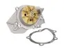 Помпа воды Peugeot 205/305/306/309/405 1.7D/1.8TD/XDT/1.9D/TD/SRDT/STD 86-02 P815