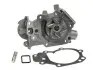 Помпа воды Renault Kangoo/Twingo 1.2 96-/Clio 1.0/1.2/1.6 96- P916