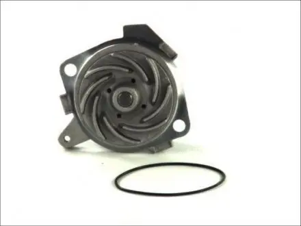D1D019TT Водна помпа THERMOTEC подбор по vin на Brocar
