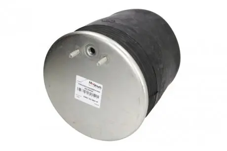 5002030021P Пневмоподушка MAGNUM TECHNOLOGY підбір по vin на Brocar