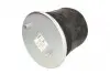 5002030269P Пневмоподушка MAGNUM TECHNOLOGY підбір по vin на Brocar