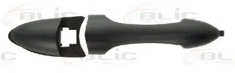 601003028406P Ручка дверей задн Лів/Прав (зовнішн, чорний) FORD FOCUS 10.98-11.04 BLIC підбір по vin на Brocar