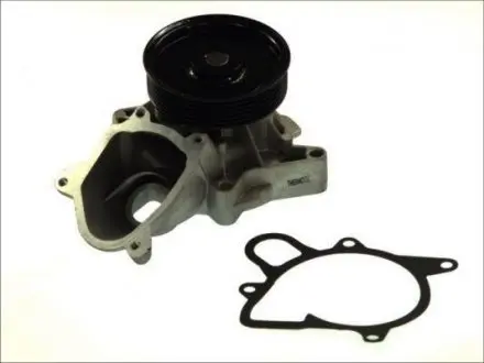 D1B031TT Водяна помпа THERMOTEC подбор по vin на Brocar