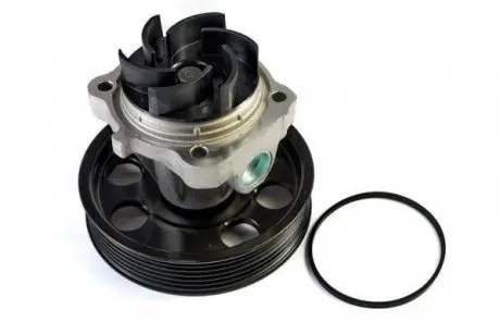 D1F074TT Водяна помпа THERMOTEC подбор по vin на Brocar