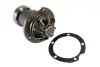 D1M006TT Помпа воды MB (W114)/G-class (W460)/S-class (W116)/(W123) 2.0-3.0 65-89 THERMOTEC підбір по vin на Brocar