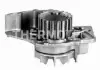 D1P000TT Насос охолоджуючої рідини THERMOTEC підбір по vin на Brocar