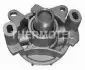 D1X045TT Насос охолоджуючої рідини THERMOTEC підбір по vin на Brocar