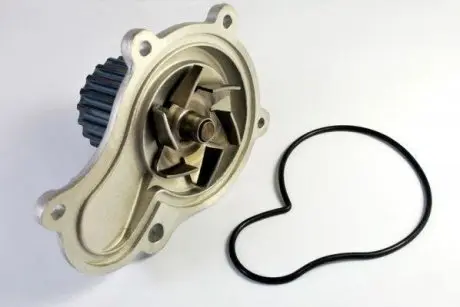 D1Y001TT Насос охолоджуючої рідини THERMOTEC підбір по vin на Brocar