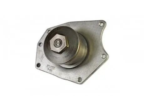 D1Y015TT Водяна помпа THERMOTEC подбор по vin на Brocar
