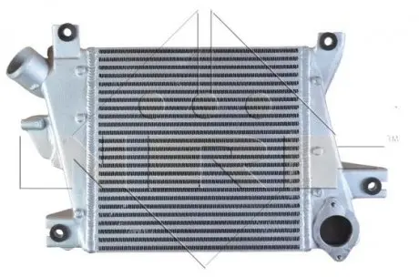 30381 Радіатор інтеркулера Nissan X-Trail 2.2dCi 01-13 NRF підбір по vin на Brocar