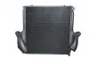 DAME001TT Интеркулер THERMOTEC підбір по vin на Brocar