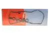 Прокладка клапанної кришки 440250P