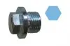 Болт зливу оливи VW LT 2.8TDI 97-06 (M21x1.75/ L=26) 220136S