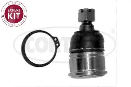 49395816 Опора шаровая нижн HONDA: ACCORD V 93-98, ACCORD VI 96-98, ACCORD VII 98-02, ROVER: 600 93-99 CORTECO подбор по vin на Brocar