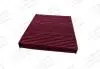 CCF0320B Filtr kabinowy AUDI/SKODA/VW A2 01-, FABIA 99-, POLO 01- BACTERSTOP do 99% CHAMPION підбір по vin на Brocar