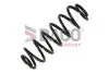 Sprężyna zaw.                * VW Passat 3C2 2.0 05-10 Tiguan 1.4 2.0 07- 814203