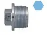 Різьбова пробка, масляний піддон 220076H