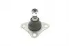 49395174 Опора шаровая CITROEN: JUMPER 06-, FIAT: DUCATO 250 06-, PEUGEOT: BOXER 06- CORTECO підбір по vin на Brocar
