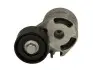 Натяжник ременя генератора Citroen Berlingo/Peugeot Partner 1.6HDi 06- (53x25) GA359.11
