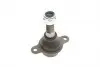 49398494 Опора шаровая FORD: TRANSIT 01/06- CORTECO підбір по vin на Brocar