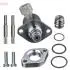 Елемент насосу Common Rail DCRS301380