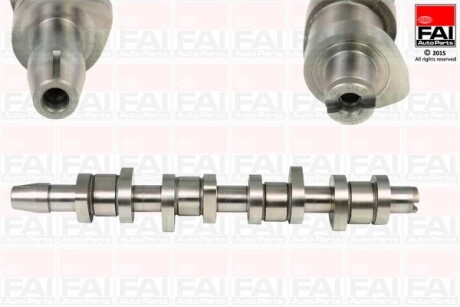 C315 Распредвал Audi A4,Passat 1.9/2.0TDI 03- FAI AUTOPARTS підбір по vin на Brocar