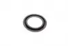 248948 Ремкомплект суппорта (переднего) Alfa Romeo Spider/Ford Escort 68-93 (d=48mm) (+2 поршня) (Ate) FRENKIT підбір по vin на Brocar