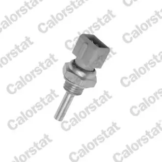 WS2590 Датчик температури води E30,34,Citroen,Fiat,Ford VERNET підбір по vin на Brocar