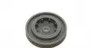 DPF35522K1 Шків колінвалу Renault Trafic/Master 1.9dCi 01- (6PK) (з болтом) SNR NTN підбір по vin на Brocar