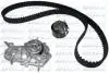К-кт ГРМ (помпа + ролик + ремень) KUBISTAR 1.2, RENAULT CLIO KD039
