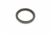 794700 Комплект прокладок двигуна (нижній) BMW 3 (F30/F80/G20/G80/G28)/5 (G30/F90)/7 (G11/G12) 15- B58 B30 ELRING підбір по vin на Brocar