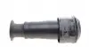 49430544 Подушка пневмоподвески (сзади) Citroen C4 Picasso 08-13 CORTECO підбір по vin на Brocar