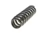 4092583 Пружина (передняя) Toyota Land Cruiser Prado 3.0D-4D 02-10 (вездеход закр.) LESJOFORS підбір по vin на Brocar