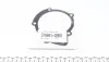 KP8612 Комплект ГРМ + помпа Citroen/Peugeot 2.0HDi 04-/Fiat Scudo 2.0D 07-/Ford 2.0TDCi 03- (116х25)(PA861) GRAF підбір по vin на Brocar