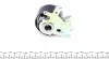 KP8612 Комплект ГРМ + помпа Citroen/Peugeot 2.0HDi 04-/Fiat Scudo 2.0D 07-/Ford 2.0TDCi 03- (116х25)(PA861) GRAF підбір по vin на Brocar