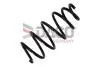 Sprężyna zaw.INSIGNIA        * 2.0 CDTI 08-17 Przód 802723