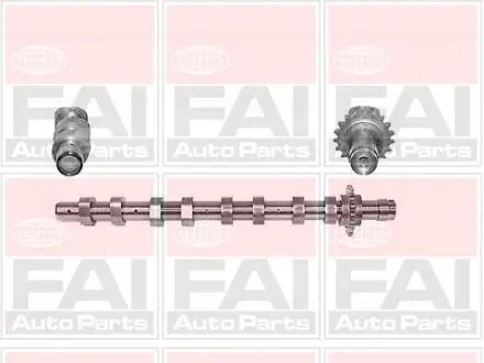 C266 Розподільчий вал IN Citroen C2, C3, C4, C5, Berlingo MINI (R56),Peugeot 1007, 206, 207, 3008, 307, 308, 407 1.6HDi 04- FAI AUTOPARTS підбір по vin на Brocar