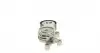 529021310 Комплект ременя генератора Citroen C3/C4/Peugeot 206/307 1.4/1.6 HDi 02- (6PK800) INA підбір по vin на Brocar